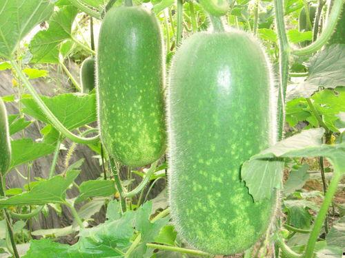 吃瓜网每日大赛 反差吃瓜爆,揭秘娱乐圈的“双重面孔”